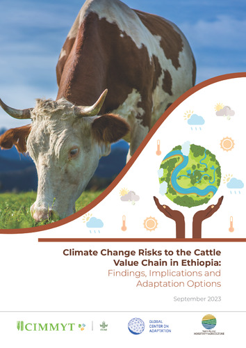 Climate change risks to the cattle value chain in Ethiopia: Findings ...