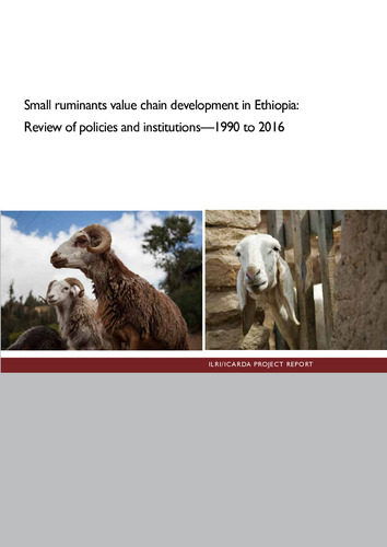 Small Ruminants Value Chain Development In Ethiopia: Review Of Policies ...