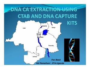 DNA CA extraction using CTAB and DNA capture kits