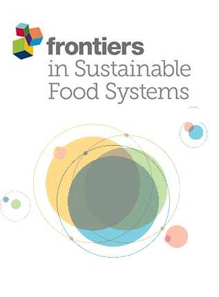 Toward a Sustainable Food System in West Papua, Indonesia: Exploring the  Links Between Dietary Transition, Food Security, and Forests