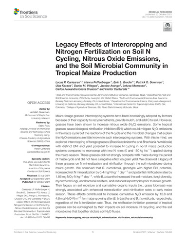 Legacy effects of intercropping and nitrogen fertilization on soil