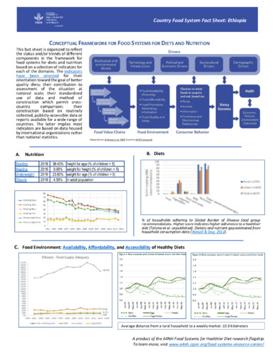 Conceptual framework for food systems for diets and nutrition: Country ...