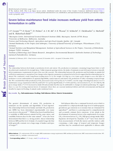 Severe below-maintenance feed intake increases methane yield from 